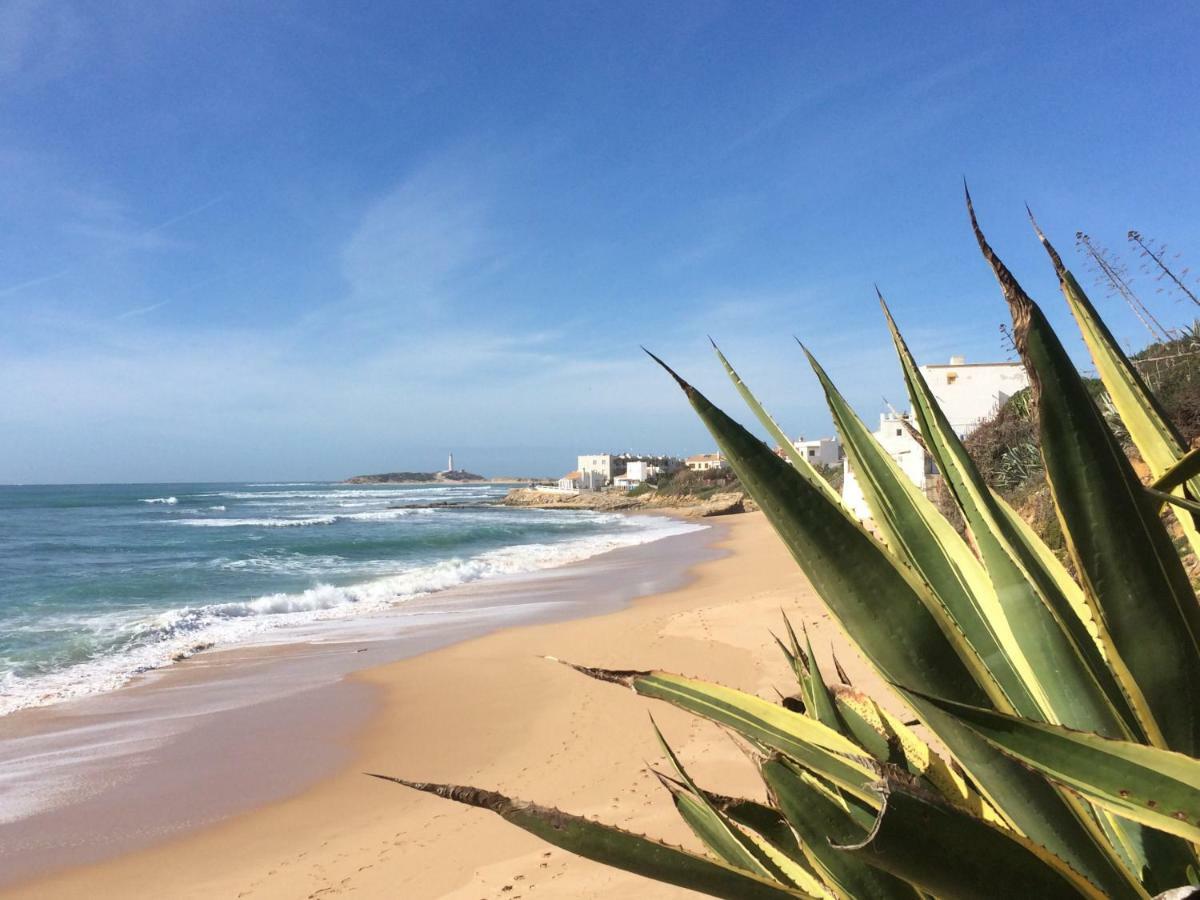 Atico Atlantico Con Aparcamiento Privado Apartment Vejer de la Frontera Luaran gambar